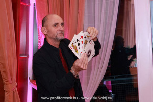 Party DJ céges rendezvényre Győr